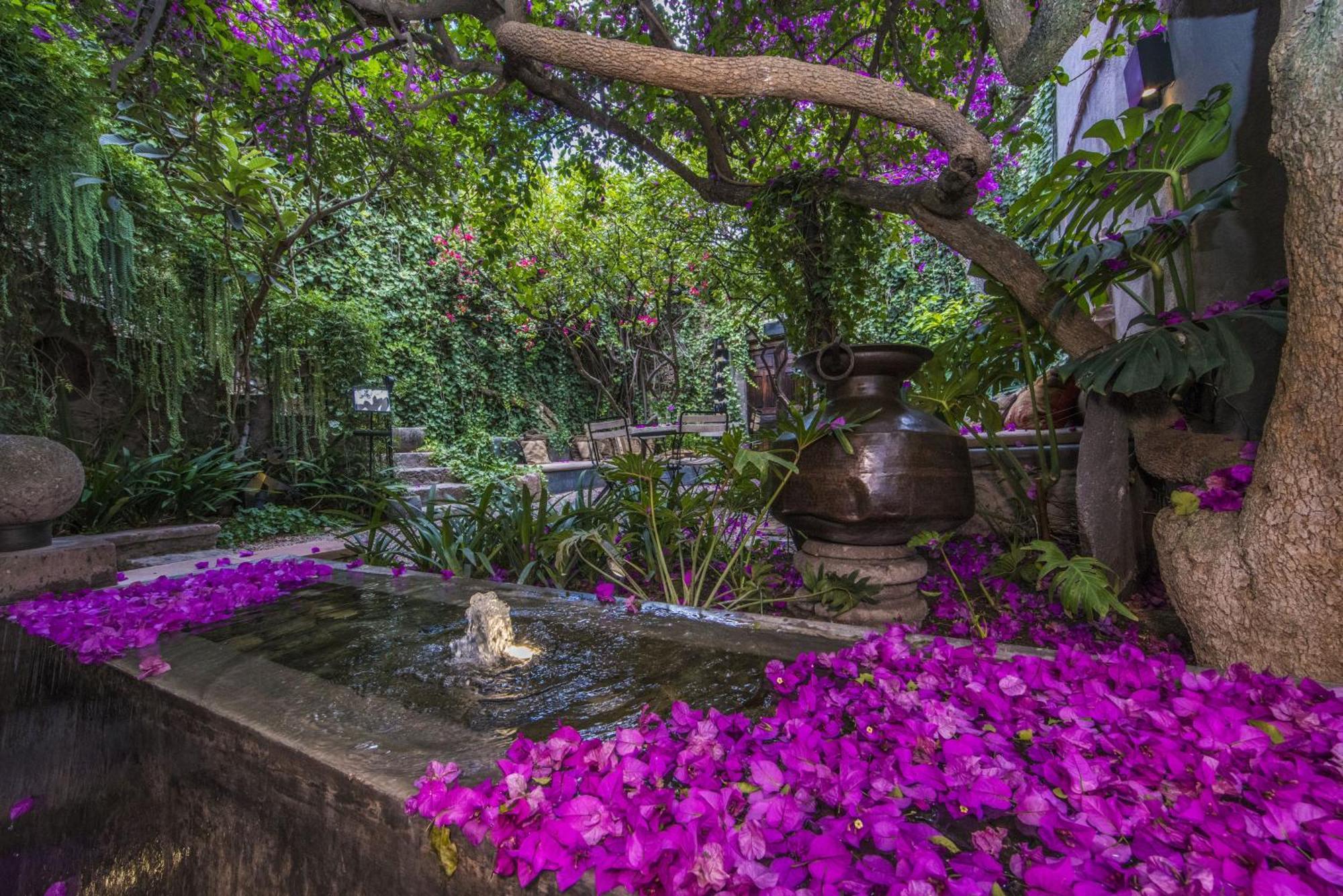 Casa No Name Small Luxury Hotel San Miguel de Allende Zewnętrze zdjęcie